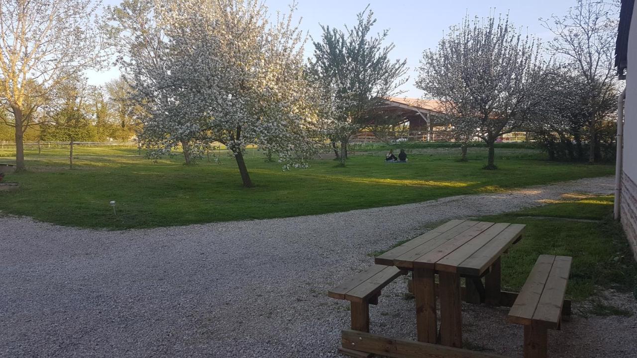 Bed and Breakfast Ferme Passion Saint-Trivier-sur-Moignans Екстер'єр фото